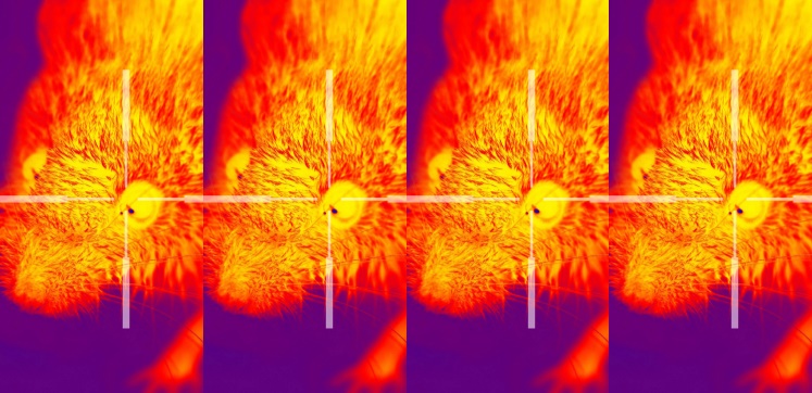 122 homepage banner3